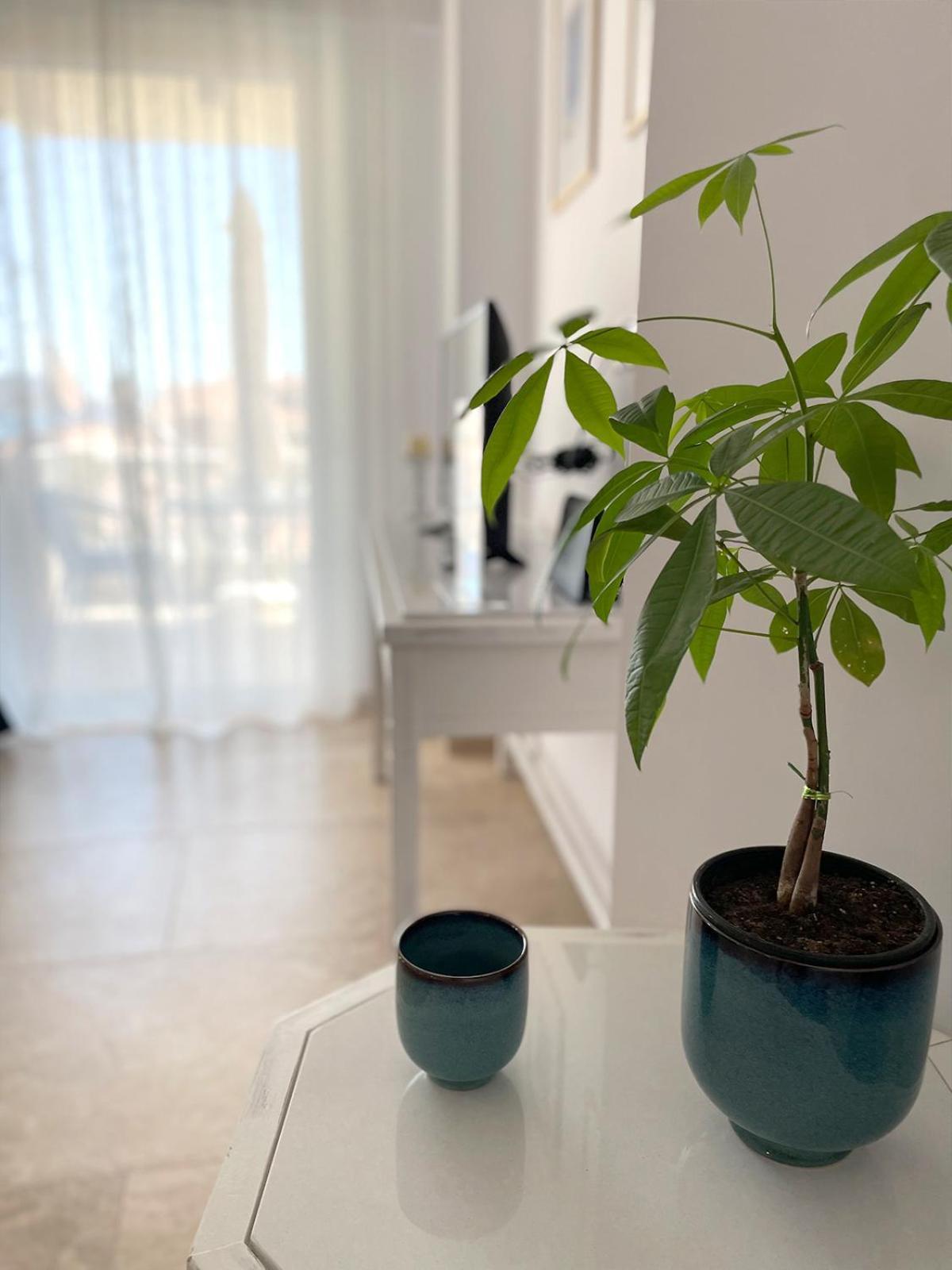 Apartment Odysseus Boutique