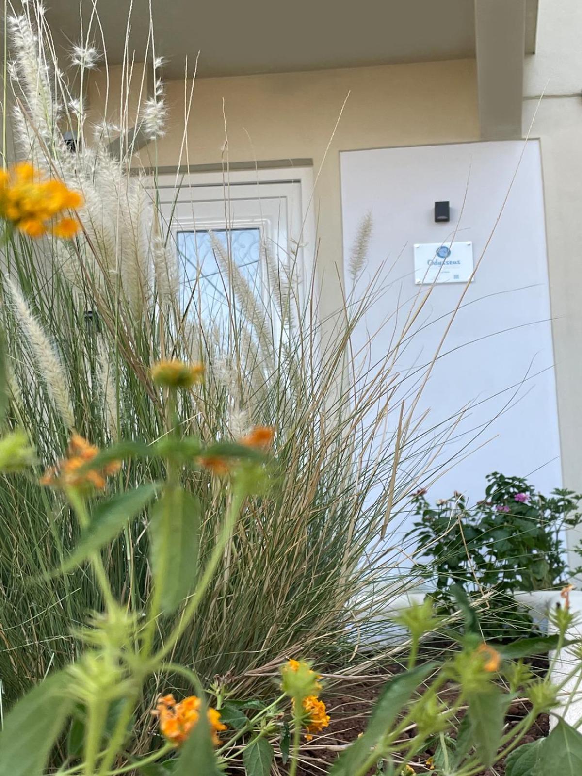 Odysseus Boutique Apartmán